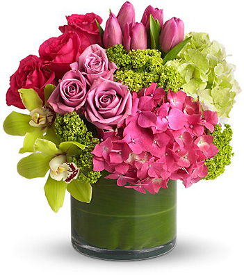 New Sensations from Racanello Florist in Stamford, CT